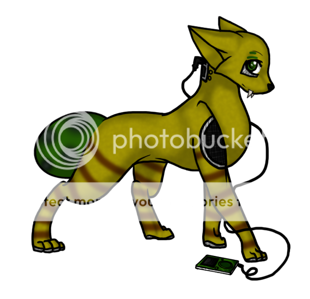 User Image
